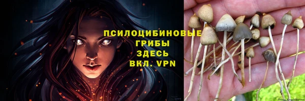 ALPHA PVP Балахна