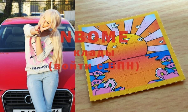 шишки Арсеньев