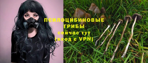 ALPHA PVP Балахна