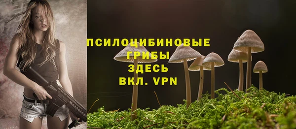 шишки Арсеньев